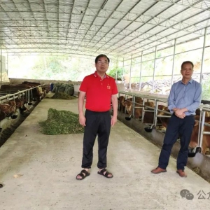 Τ���µ����򶽵���Ŀ���̽����߲�ҵ��չ���