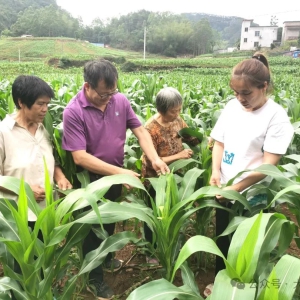 �����硰�ľٴ롱ץ��ũҵ����