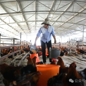 ������ģ���� ������ģ����ح�����飺��Ҫ����Ⱥ��һ������