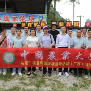 �������ح�󻯣���ͷ�㡱ʾ������ ������ҵ����