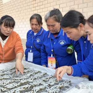 ������ģ���� ������ģ����ح���������ũ��ʮ���� ������ũ��������