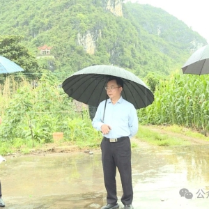 ��ʤ�������ֳ��칫 �ƽ�������������Ŀ���蹤��