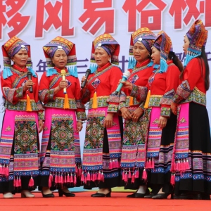 �󻯣����˸ϸ��� ����������