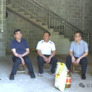 �����������翪չ������˹�������