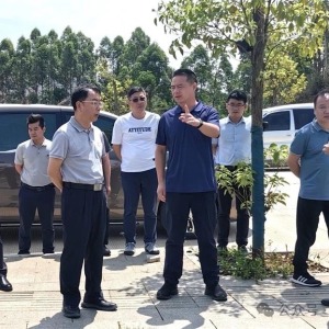 ��Ԫ�����󻯵�������������Ŀ���蹤��