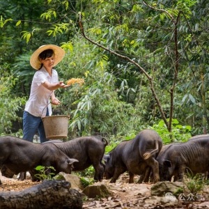 98λ���й¹����˵ġ���Ů���������ڰ�����ȫ����λѧ�׷������ƴ���ϵ�б���֮һ