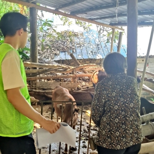 �������ح������ȫ���Ը�������ǿ ��ʵ��ҵ��չ����