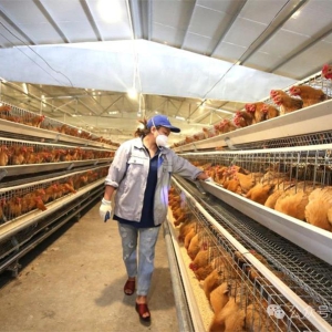 �������ح�󻯣�ũ��Ӫ�ԲƲ��������������