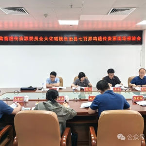 ���߰�Ū��ͨ���Ŵ���Դ�ֳ�����