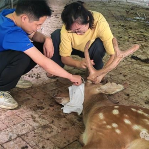 �������ح������˺ô�ɸ��һ��¹��