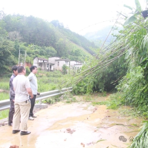 ��̲���������վ��֡���ɫ�̰ӡ�