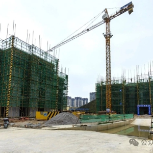 �󻯣�ȫ���ƶ���Ŀ���� ����������ЧͶ��