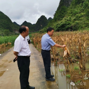 ��ʤ����Ҳ����ָ����Ѵ����