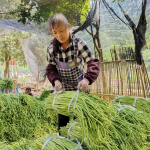 �������� ���󻯣�������+ͥԺ���á�ģʽ�á�����ء��䡰�¸�԰��