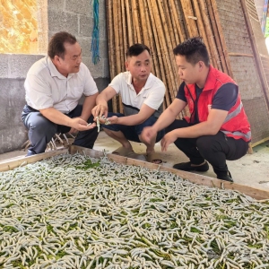 ������� ��Ǽ������壺ͥԺ���ü�����ɣ��ҵ