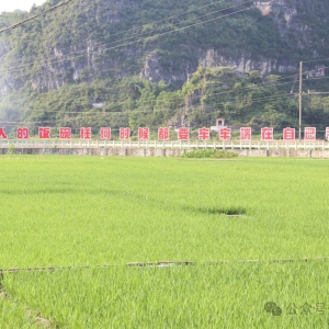 �������ح�����磺�������조��̬����֮�硱