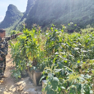 �������ح�󻯣��پ�ҵ������ �����ӻ���ƪ