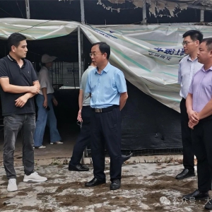 ��ʤ�����������´���У��ƶ�ũҵ��ҵʵ��ת���Ȳ���չ