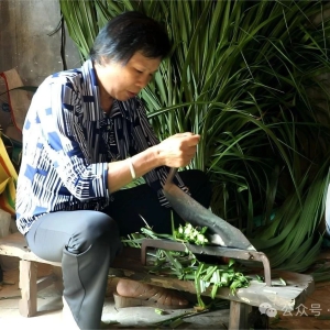 �������ح��Ҳ�����壺ͥԺ�����������������¸�