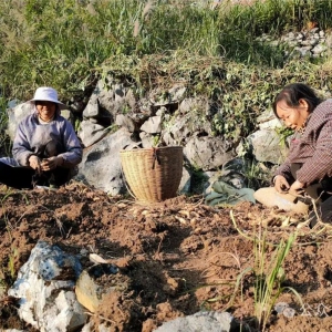 �������� �������磺��ֵ������� �ߺü��徭�÷�չ�������塱