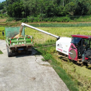 �������حǼ���縻��ˮ���ո���