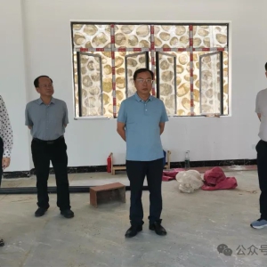 �󻯣�����������ɫ��̬�Ļ������¸��