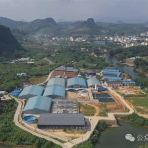 ������� ���󻯣�̽����ҵ��ֳ��ģʽ �߳���ҵ������·��