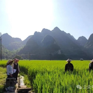 ������� �� �����磺��ҵ���������� ������ʵ������