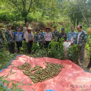 ������� �������磺ǿ���ܻ����ƶ����Ҳ�ҵ������Ч