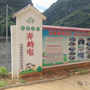 �������� �������磺�������췢չͥԺ����