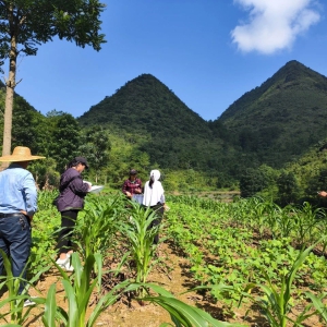 ������� ���߰�Ū�磺���ò�ҵ�������� ��ũ�����¸�