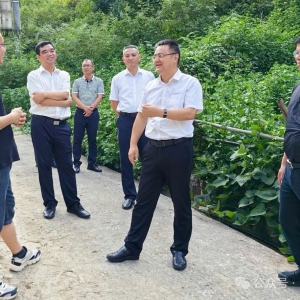 κ�������󻯿�չ�������й���