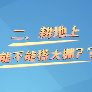 ����Ƶ ���������ܲ��ܴ���