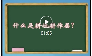 ����Ƶ ��ʲô�Ǹ��ظ����㣿