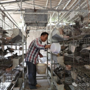 �����л����干ͬ����ʶ ��Τ��ҵ�����롱�����������������Ž�֮��