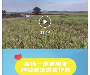 ����Ƶ ��ֻҪ���ƻ������㣬�����ڸ���������ʲô����ʲô��