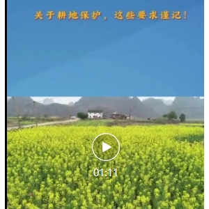 ����Ƶ ��ʲô�����û���ũ�����������