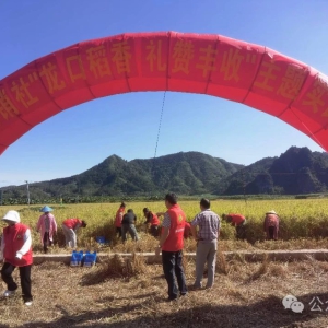 �󻯹����翪չ�����ڵ��� ���޷��ա����⵳�ջ