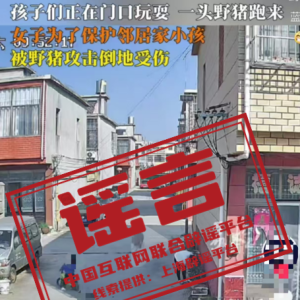 ���ձ�ҥ��2024��11��4�գ�