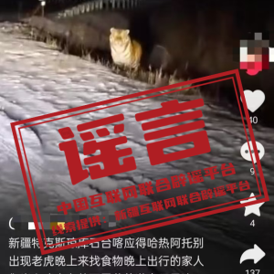 ���ձ�ҥ��2024��11��27�գ�