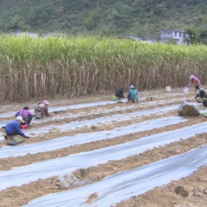 ��������ˡ��۽������������壺�һ�����ֲ �����¸���ϣ��