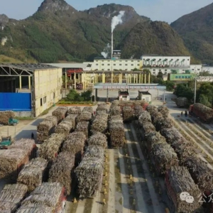 ������� ��������ɽˮ֮��������  ��Ͳ�ҵ��չ�¡��桱��