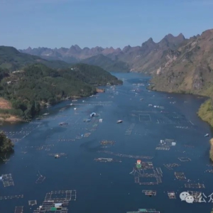 ������� �������򣺵�������١�����