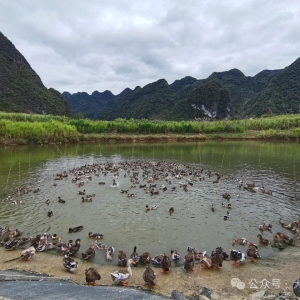 ������� ��ͥԺ��ֳ��ͷѼ ע����������»���