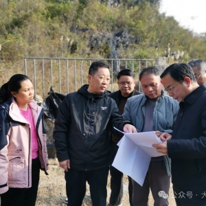 �����µ��󻯵��ж�������