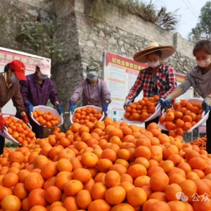 ������� ���������ԡ�����ٴ롱�ߺá��¸�֮·��