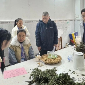 �󻯻�������˫ѭ���г���Ӫ������