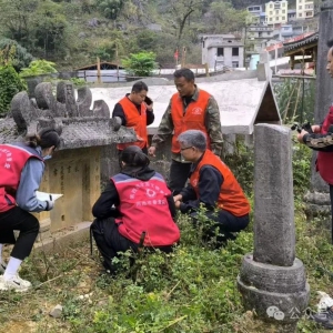 �������ղ鹤��ȡ�ý׶��Գɹ�