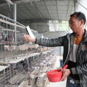 ������� ������������壺����������ɫ��ҵ��ũ����