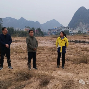 ��ʤ���ж�������������ر�������